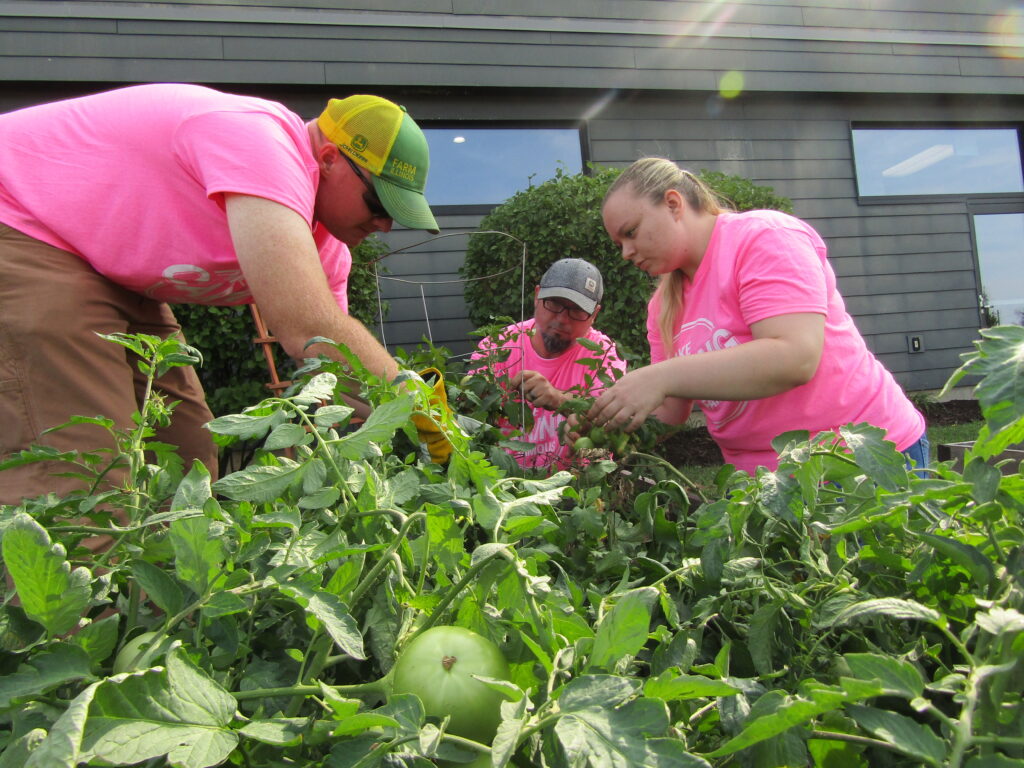 (from left) Jonathan Schmidt, Tony Harland and Madalynn Baez work in a garden box outside the Martin Luther King Jr. Community Center in Rock Island on Thursday, Sept. 15, during United Way Quad Cities’ Day of Caring events.