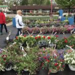 plant sale