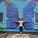 Aunt Hattie's butterfly