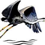 conservation banquet