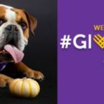 GivingTuesday WIU