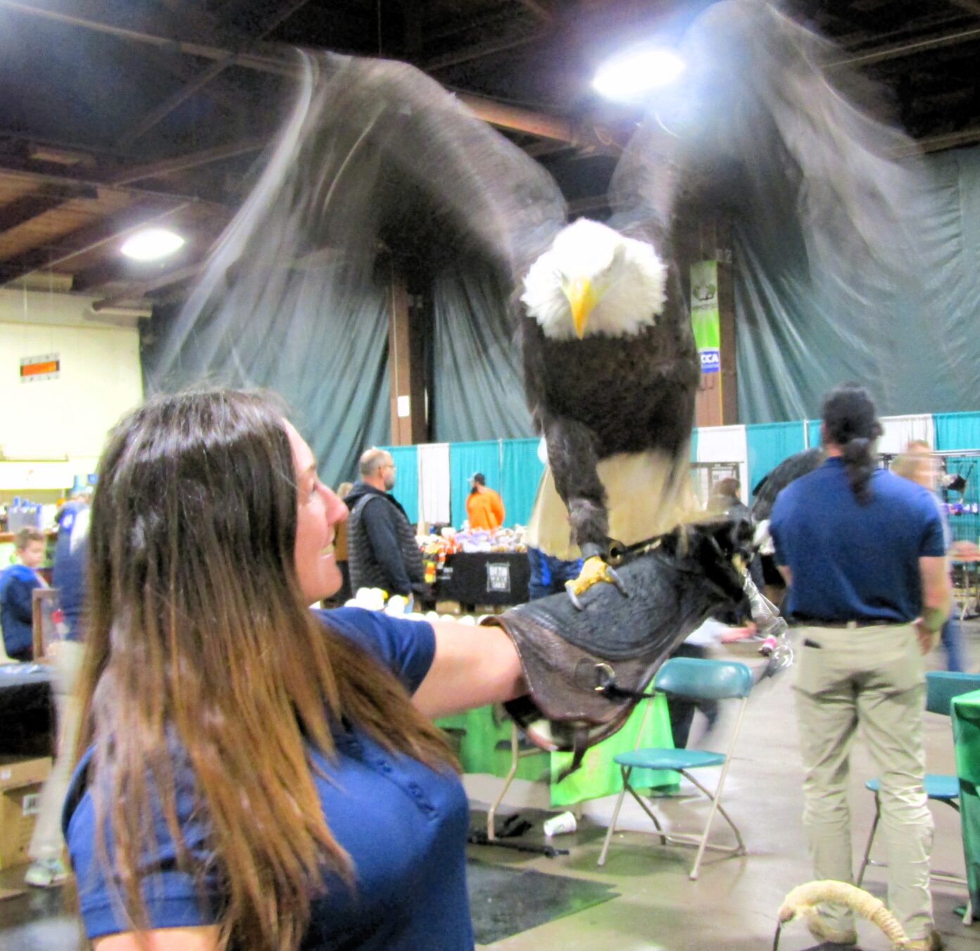 2025 QC Bald Eagle Days will be Jan. 1012