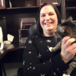 Books & Meows books cats