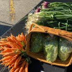 QC Farmers Market