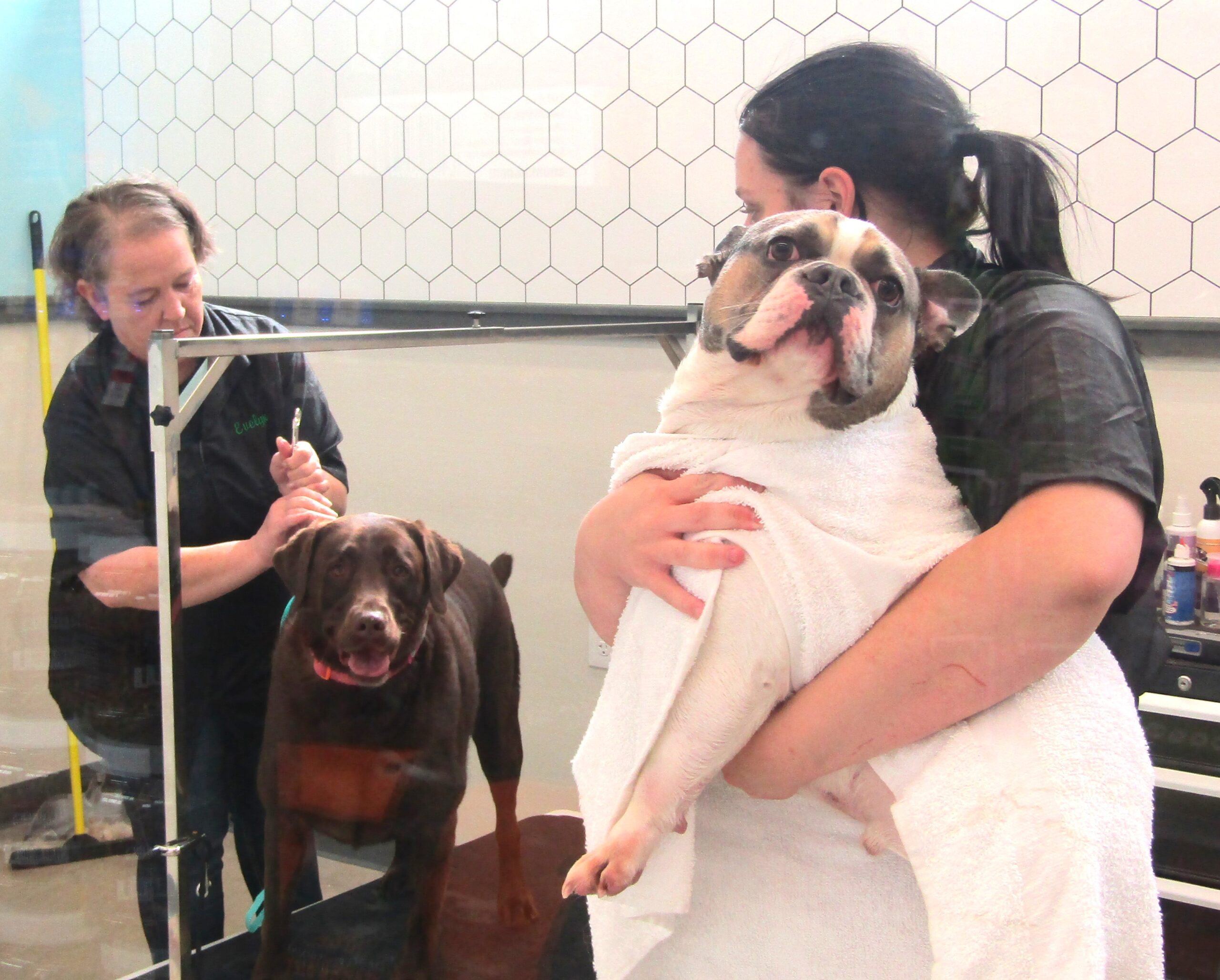 Pet Supplies Plus opens store in Bettendorf