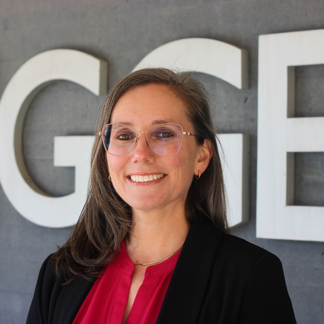 Mohr named Figge Art Museum’s new executive director, CEO