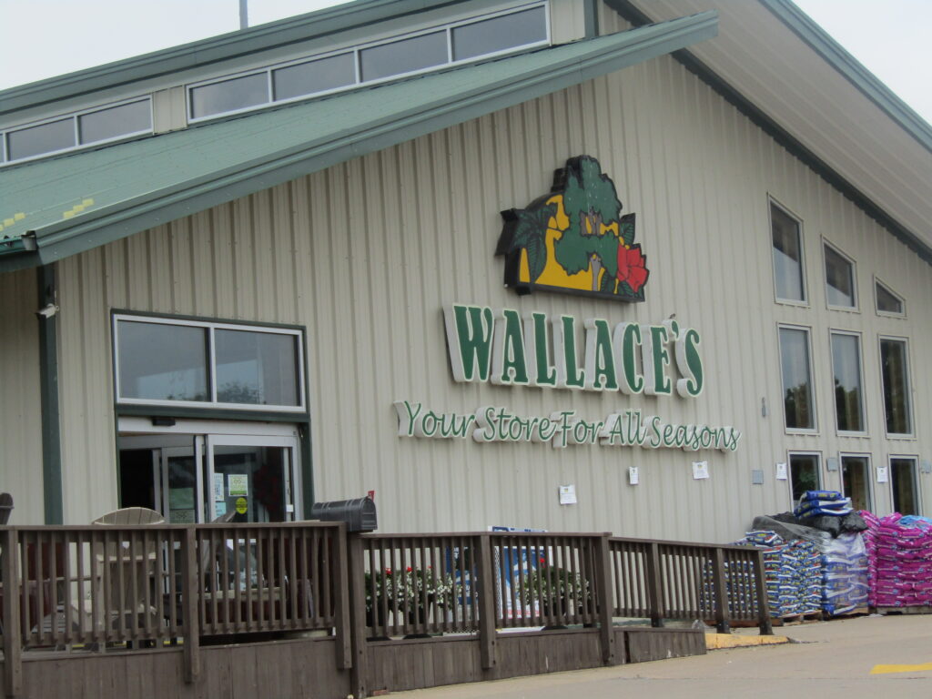 Wallace's fire