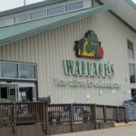 Wallace's fire
