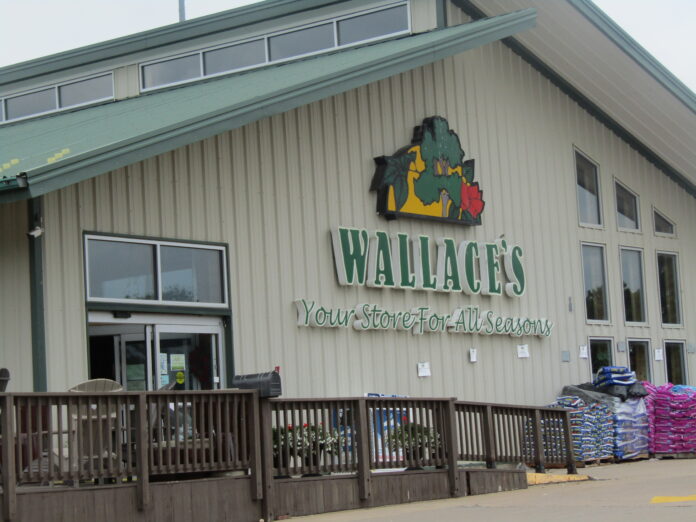 Wallace's fire