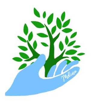 Moline Environmental Resiliency Plan